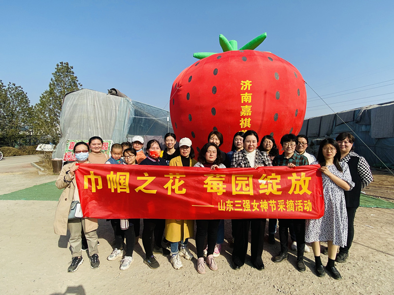 巾幗之花，莓園綻放 ——山東三強(qiáng)組織“三八”節(jié)踏青采摘活動(dòng)